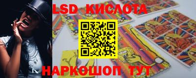 дмт Донской
