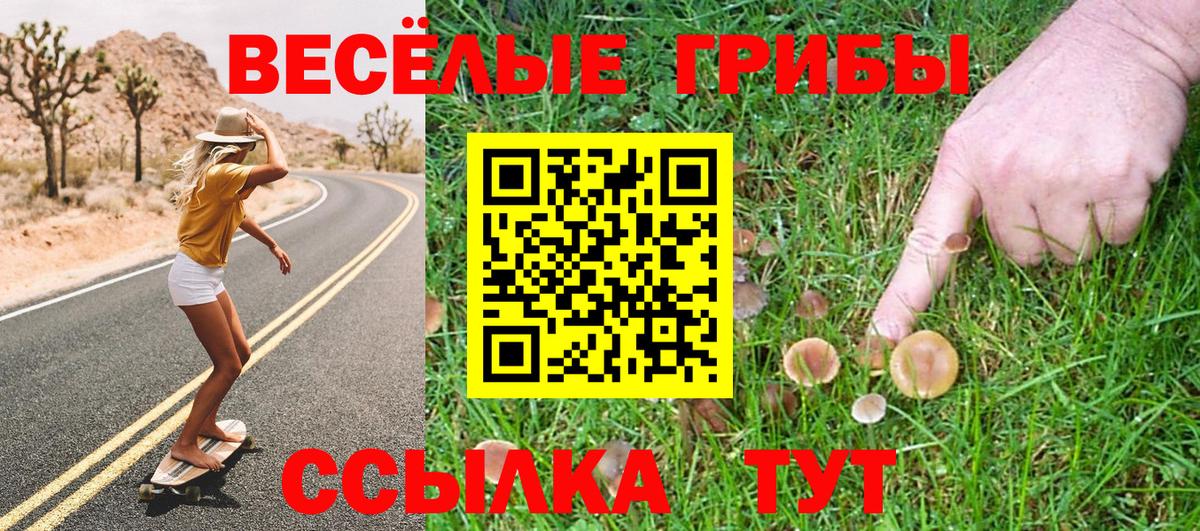 Галлюциногенные грибы мицелий Миасс