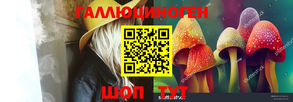 Галлюциногенные грибы Psilocybe  хочу   Миасс  Галлюциногенные грибы прущие грибы  Вход с VPN 
